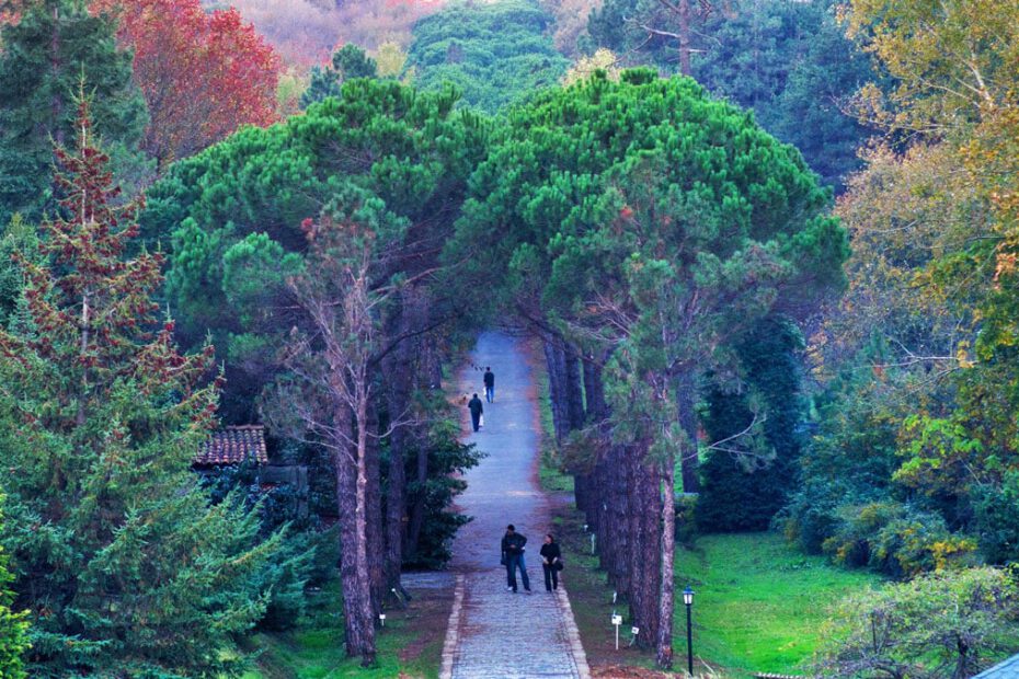 Atatürk Arboretumu Nerede ? Nasıl Gidilir
