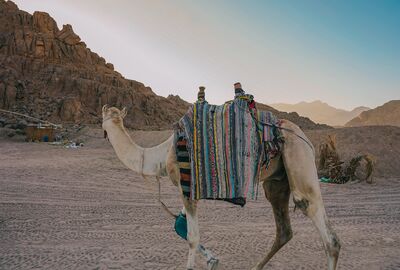 Beyza İle Sharm El Sheikh Kahire Dahab Turu 4 Gece Ekstra Turlar Dahil