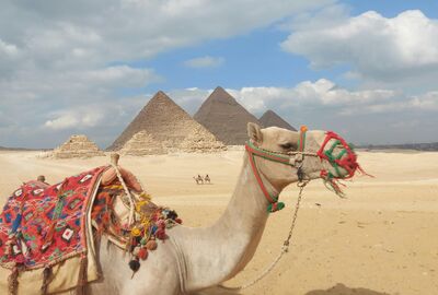 Ara Tatilde Mısır Rüyası – 5 Yıldızlı Otel Konaklamalı Sharm, Kahire ve Dahab Turu