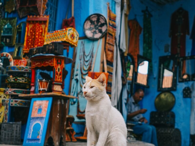 Dilara İle Büyük Fas Sahra Çölü Turu