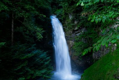 Rize Çıkışlı Ayder, Elevit Yaylası Ve Zil Kale Günübirlik Turu (Combo)