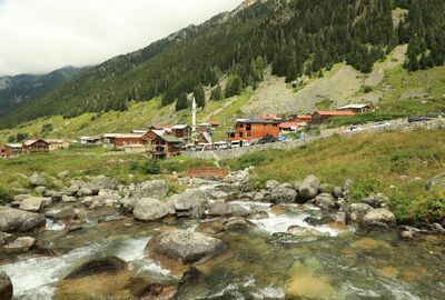 Rize Çıkışlı Ayder, Elevit Yaylası Ve Zil Kale Günübirlik Turu (Combo)