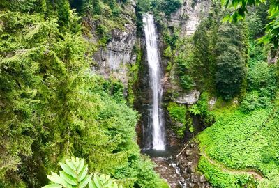 Butik Karadeniz yayla turu 4 gece 5 gün