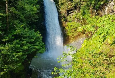 Özel Vip Karadeniz özel turu  4 gece 5 gün