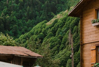 Rize Hareketli Pokut Huser Günübirlik Yayla Turu – 5 Yayla Bir Arada (Double Tur)