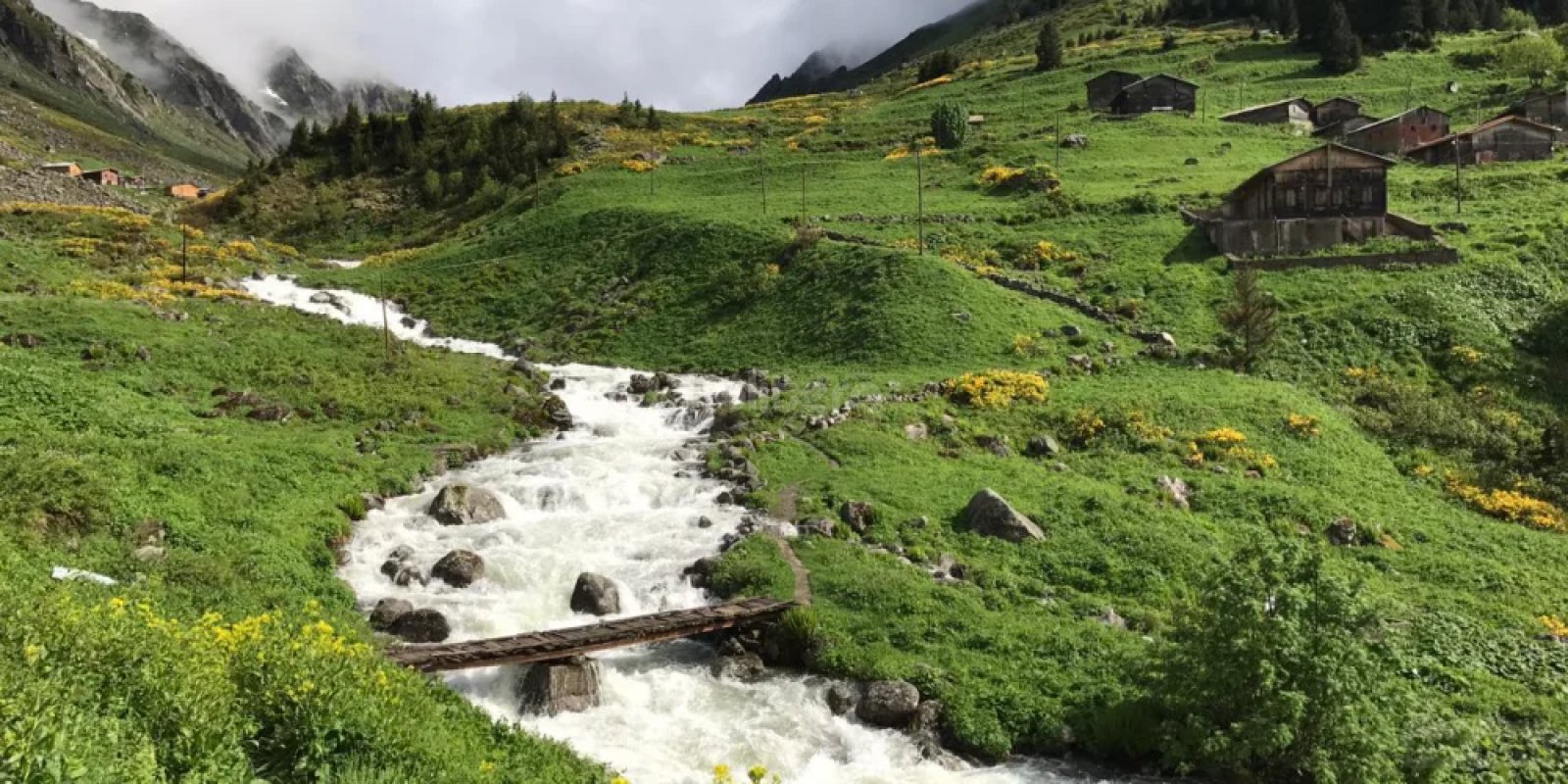 Ayder elevit yaylası turu combo