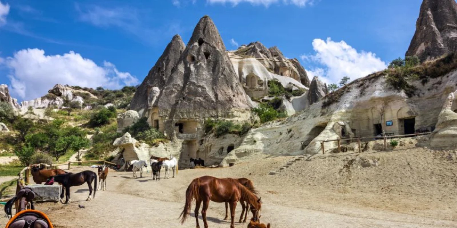 Cappadocia Horseback Riding Tours